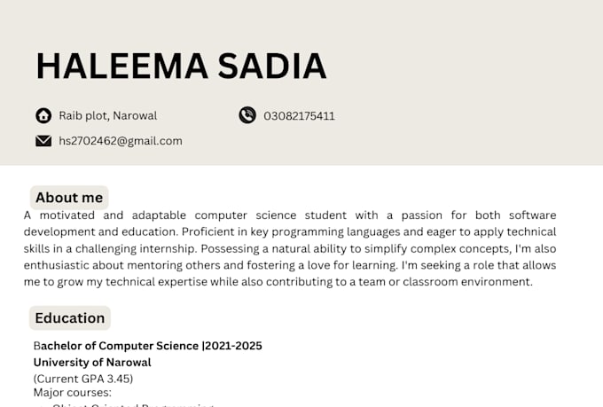 write a professional CV resume